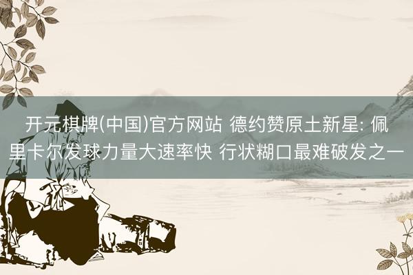 开元棋牌(中国)官方网站 德约赞原土新星: 佩里卡尔发球力量大速率快 行状糊口最难破发之一