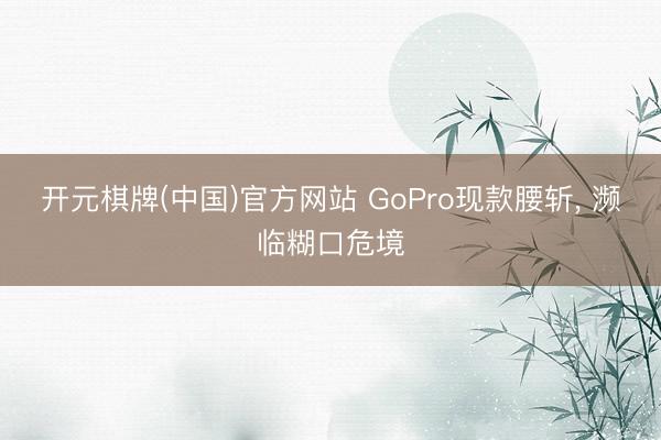 开元棋牌(中国)官方网站 GoPro现款腰斩, 濒临糊口危境